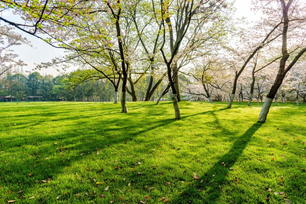jardines con historia