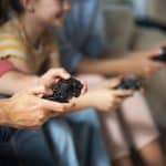 videojuegos para ejercitar la memoria y la lógica