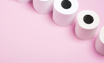 Manualidades con rollos de papel higiénico