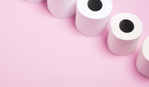 Manualidades con rollos de papel higiénico
