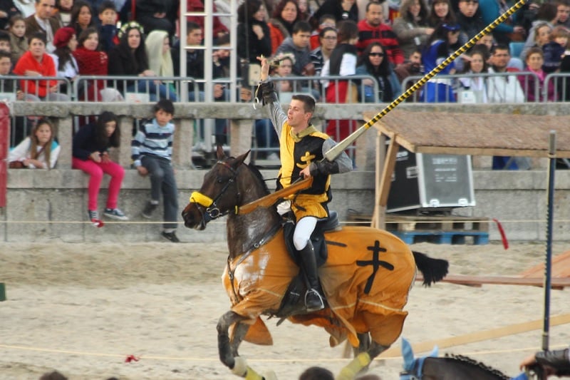 Fiestas De La Arribada