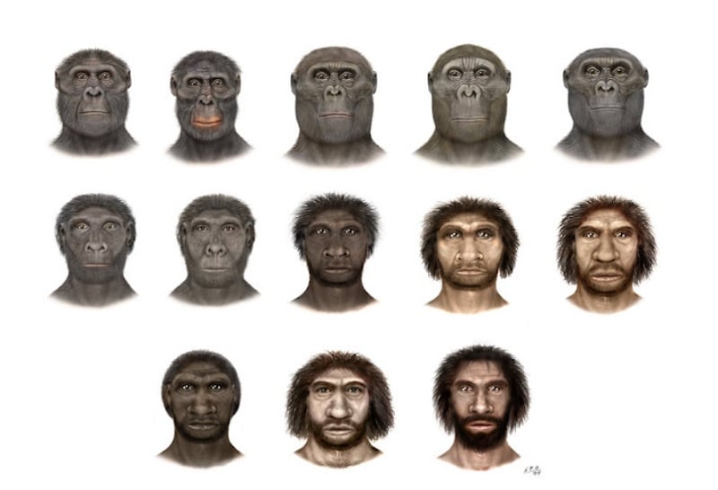 Profesor Francisco recursos prehistoria