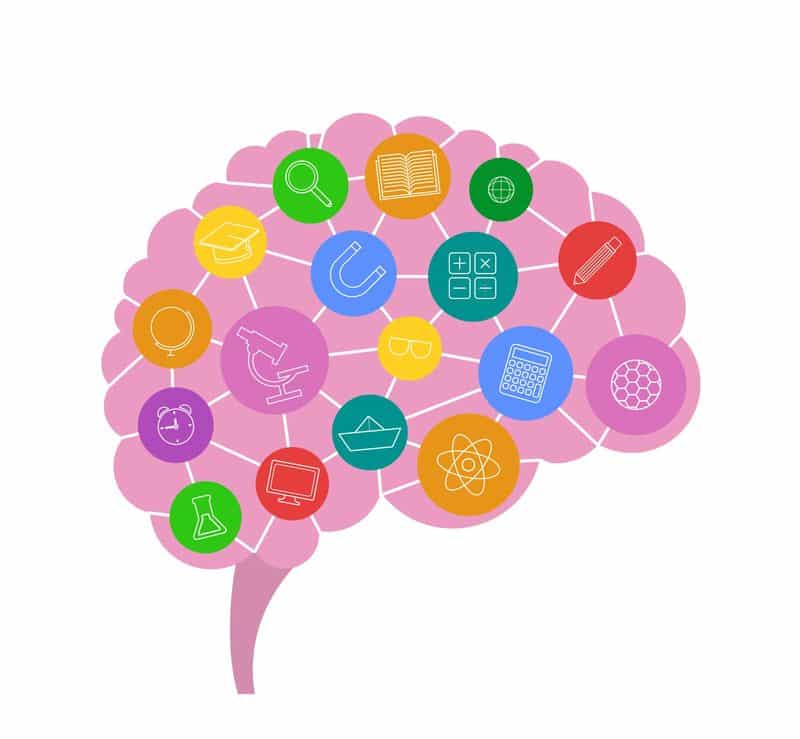 Cursos De Neuroeducación