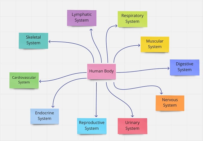 Crea mapas conceptuales y mentales con estas apps y plataformas para 2023