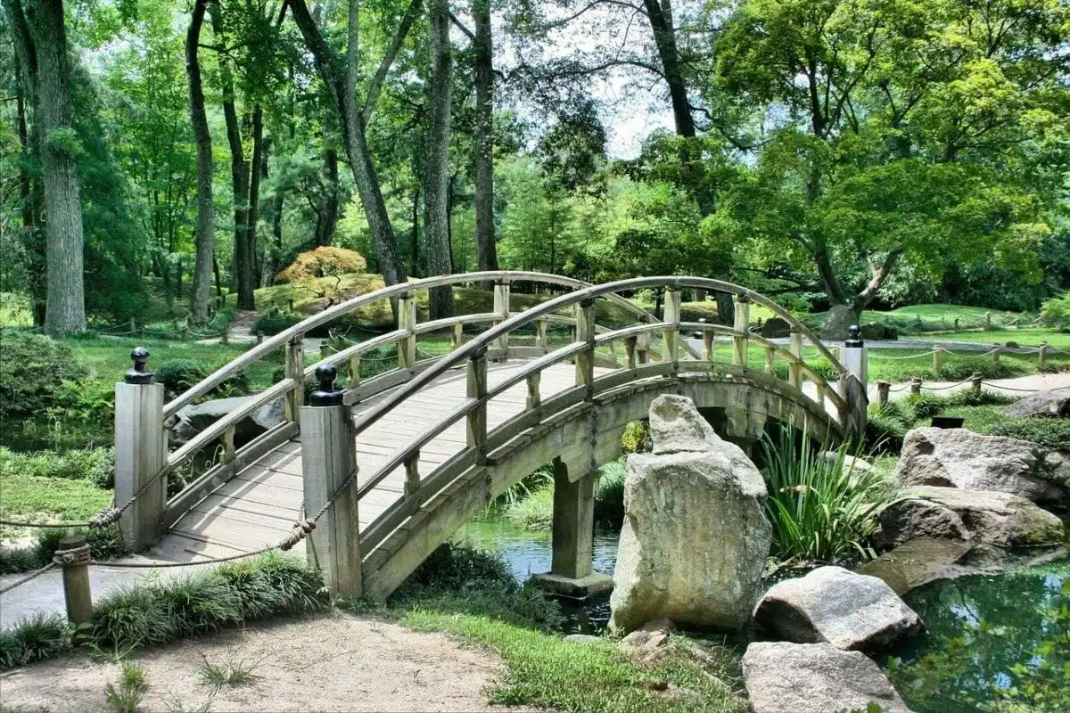 naturaleza dibujos