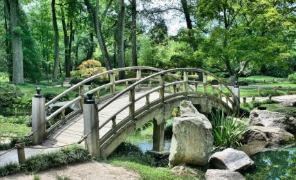naturaleza dibujos
