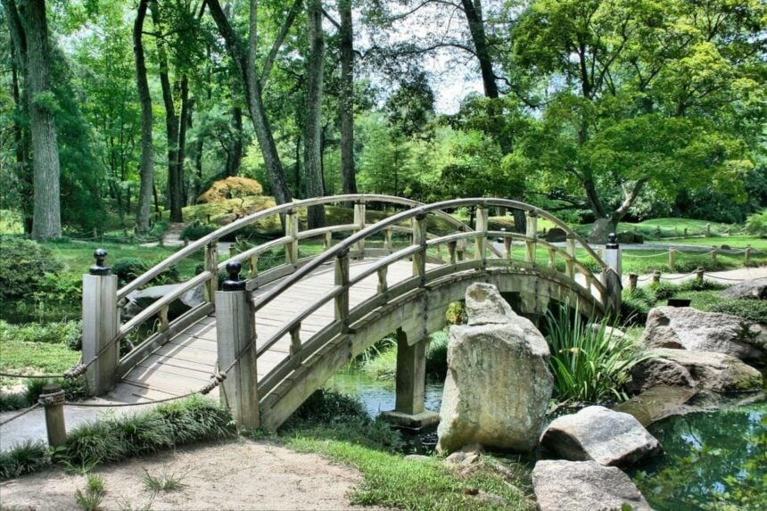 naturaleza dibujos