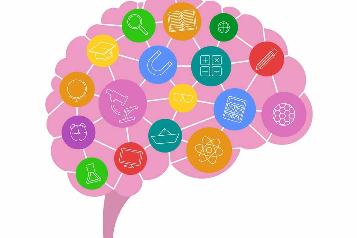 Libros para aprender sobre neuroeducación libros neuroeducación