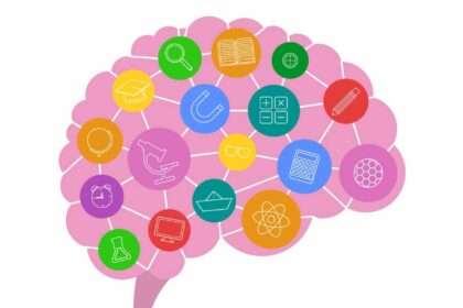 libros neuroeducación