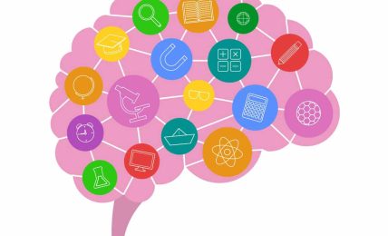 libros neuroeducación