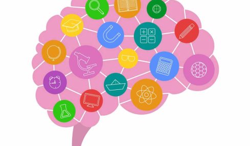 libros neuroeducación