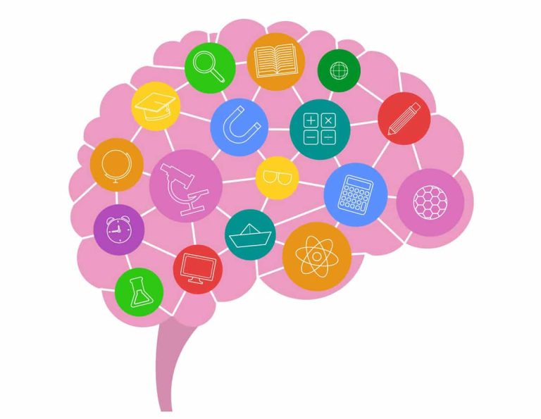 libros neuroeducación