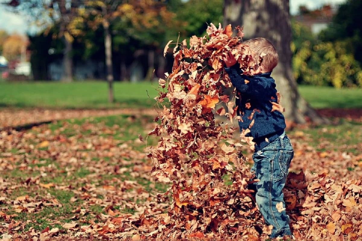 otoño