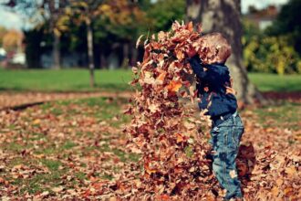 otoño