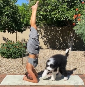 Cuentas de Instagram pilates