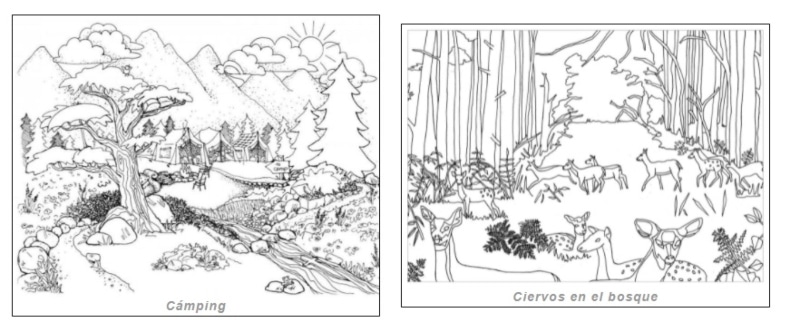 Dibujos para colorear sobre naturaleza