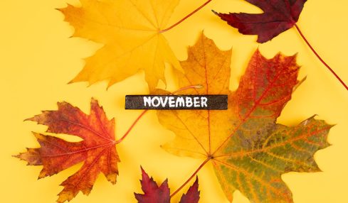 Fechas clave de noviembre