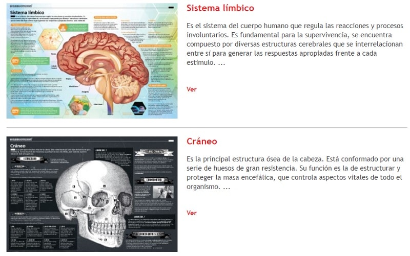 Infografías Biología