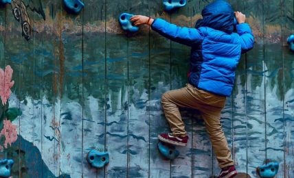 beneficios pedagógicos de la escalada