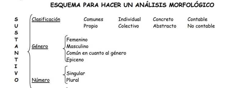 Esquema Análisis Morfológico