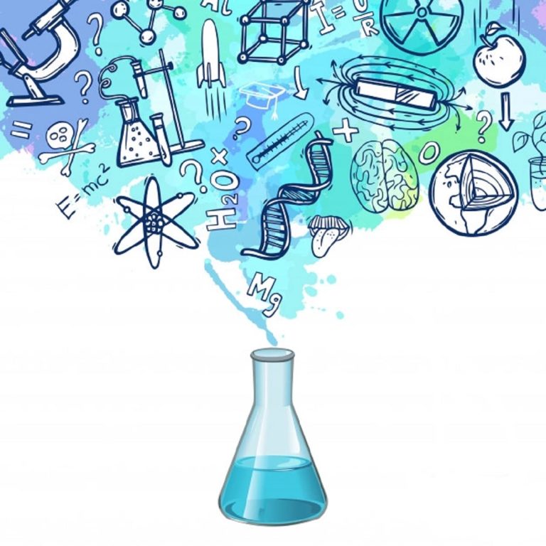 infografías Biología