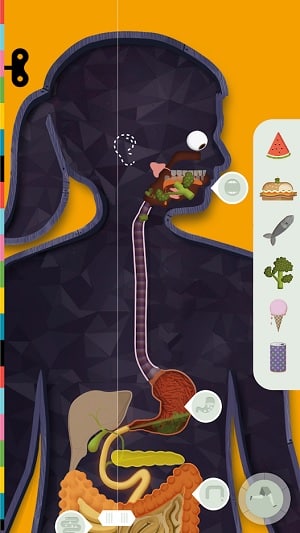 Anatomía aplicaciones 
