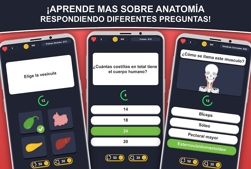 App Anatomía