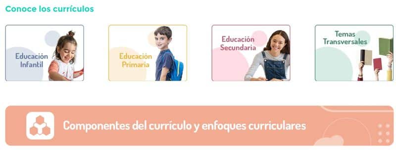 Nuevo Curriculum Nuevos Desafíos 