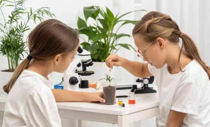 Experimentos con plantas