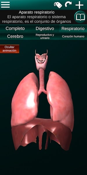 Órganos 3D anatomía app