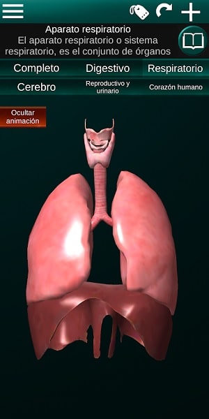 Órganos 3D Anatomía App 