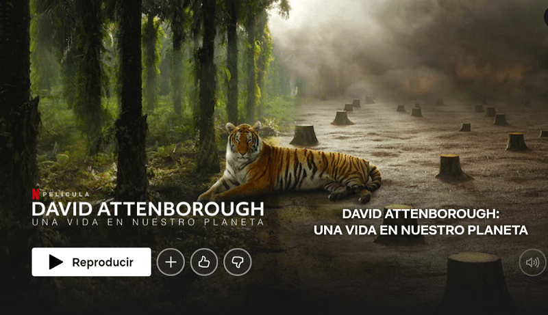 David Attenborough: A Life On Our Planet Documentales De Netflix