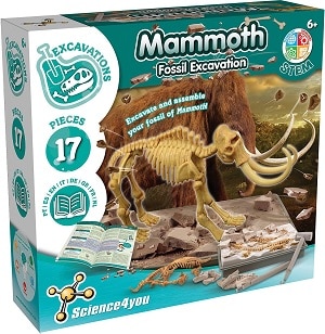 Mammoth excavaciones fósiles 