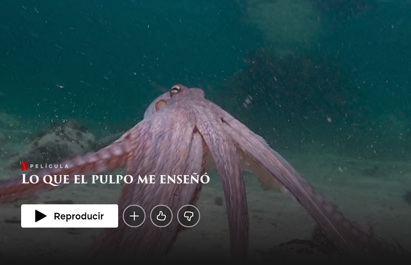 My Octopus teacher documentales de Netflix