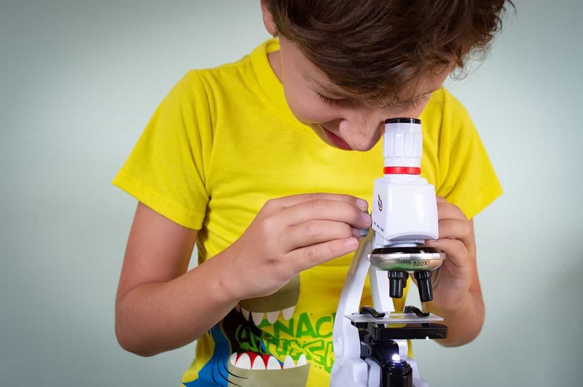  Microscopio para niños principiantes niños estudiantes, 40X-  1000X microscopios compuestos con 52 piezas kits educativos : Juguetes y  Juegos