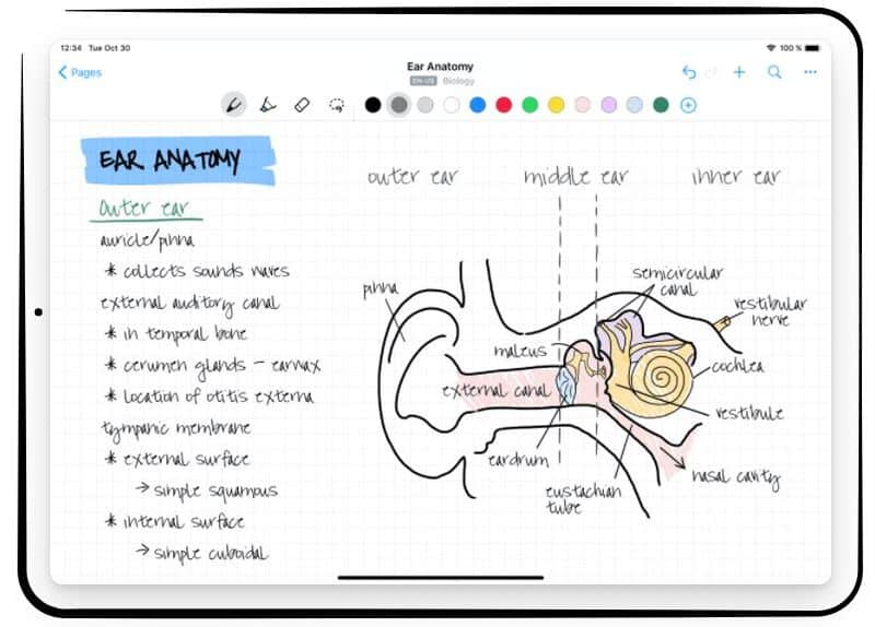 Los mejores cuadernos digitales. Digitaliza tus notas con estas