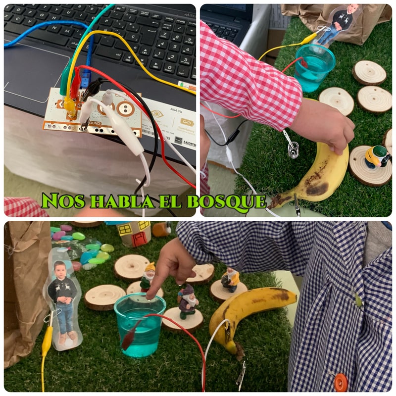 Programando la naturaleza en Infantil