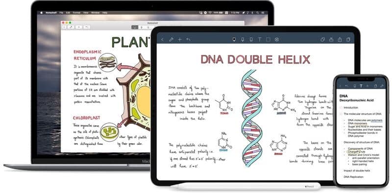 Apuntes En Varios Dispositivos De La Aplicación Noteshelf