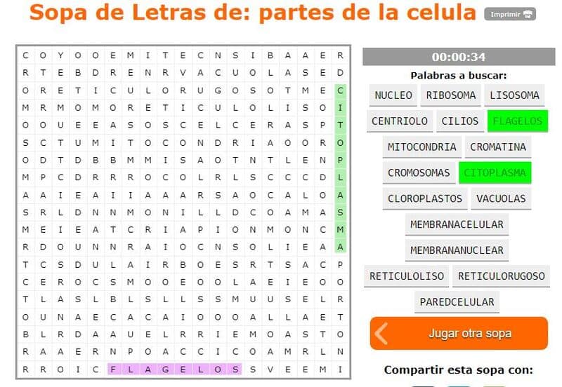 Sopa de letras para estudiar las células