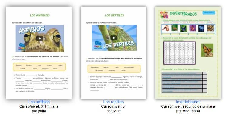 Liveworksheets animales