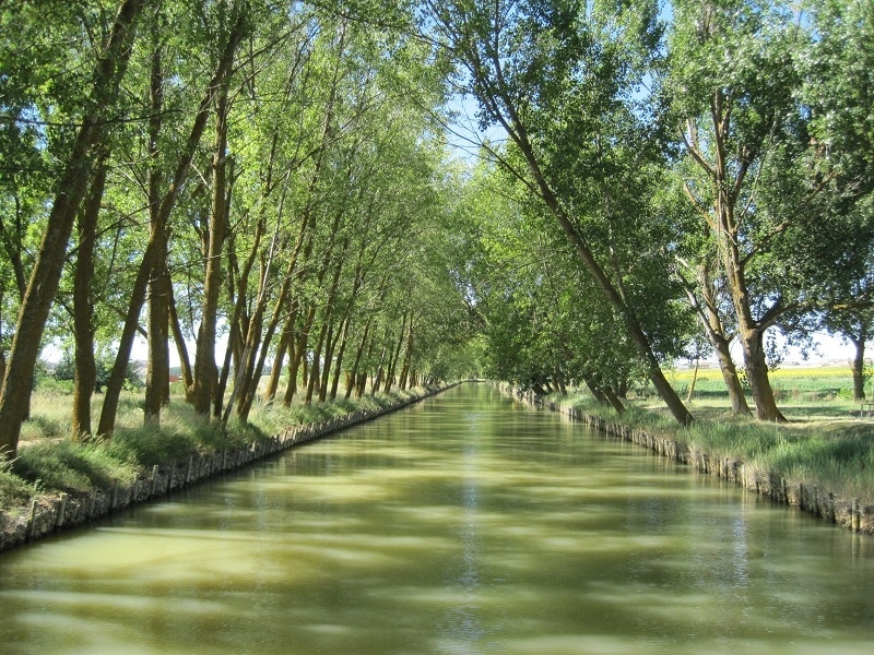 Canal de Castilla 