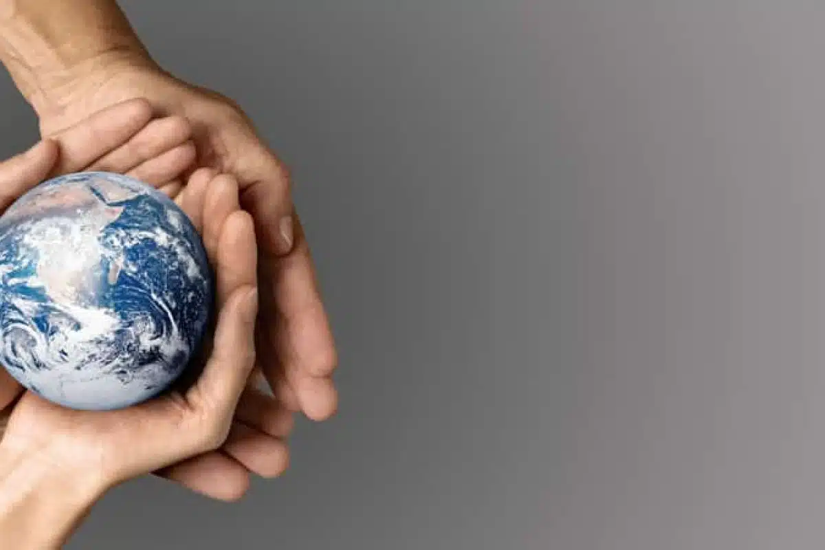 Cortometrajes para estudiar el cambio climático en el aula y en casa cortometrajes cambio climático