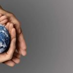 cortometrajes cambio climático