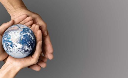 cortometrajes cambio climático