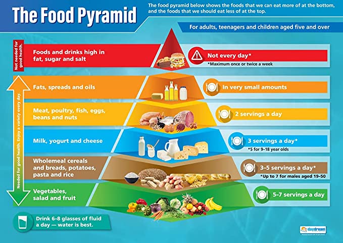 Daydream Education The Food Pyramid
