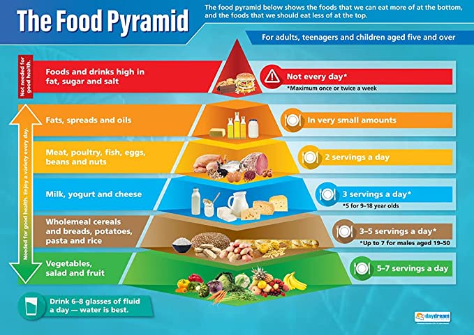 Daydream education the food pyramid