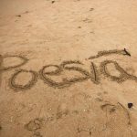 Experiencia videopoemas