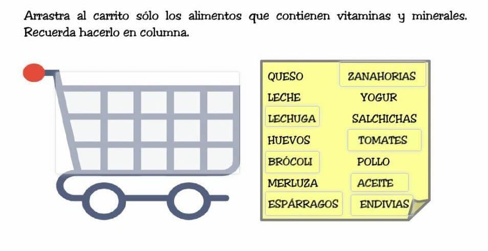Piramide alimenticia
