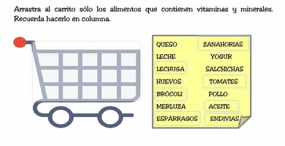 Piramide Alimenticia