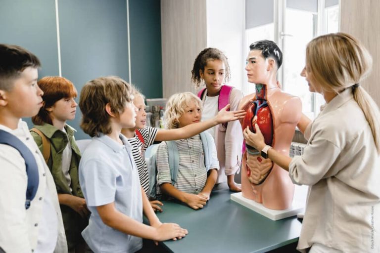 Educar por competencias